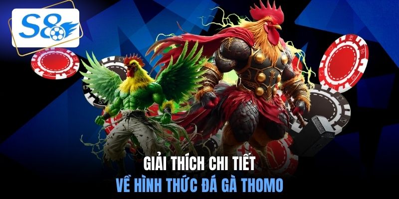 Giải thích chi tiết về hình thức đá gà Thomo