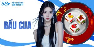 Luật Chơi Bầu Cua S8 Đơn Giản Cho Người Mới Bắt Đầu