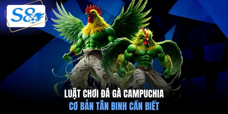 Luật chơi đá gà Campuchia cơ bản tân binh cần biết