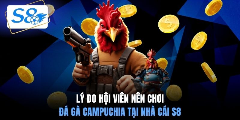 Lý do hội viên nên chơi đá gà Campuchia tại nhà cái S8