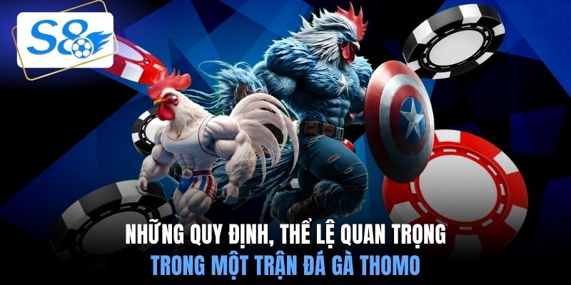Những quy định, thể lệ quan trọng trong một trận đá gà Thomo