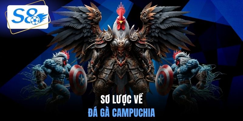 Sơ lược về đá gà Campuchia