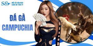 Tìm Hiểu Đá Gà Campuchia - Trường Đấu Chiến Kê Hấp Dẫn