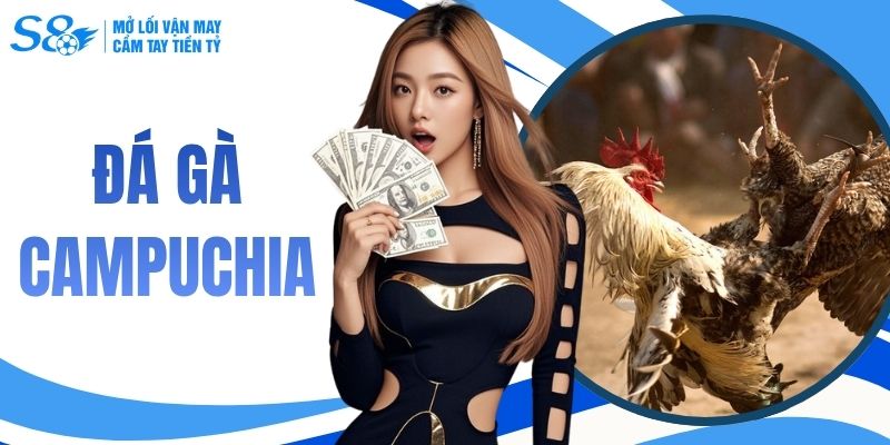 Tìm Hiểu Đá Gà Campuchia - Trường Đấu Chiến Kê Hấp Dẫn