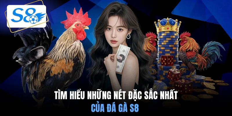 Tìm hiểu những nét đặc sắc nhất của đá gà S8